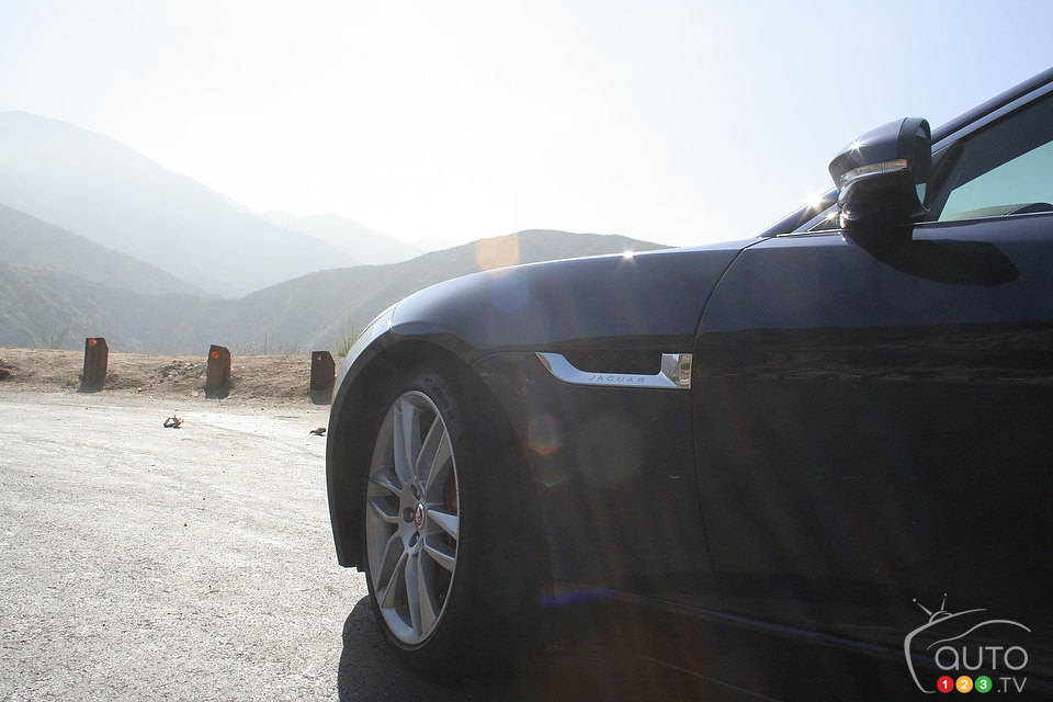 Photo: Miranda Lightstone