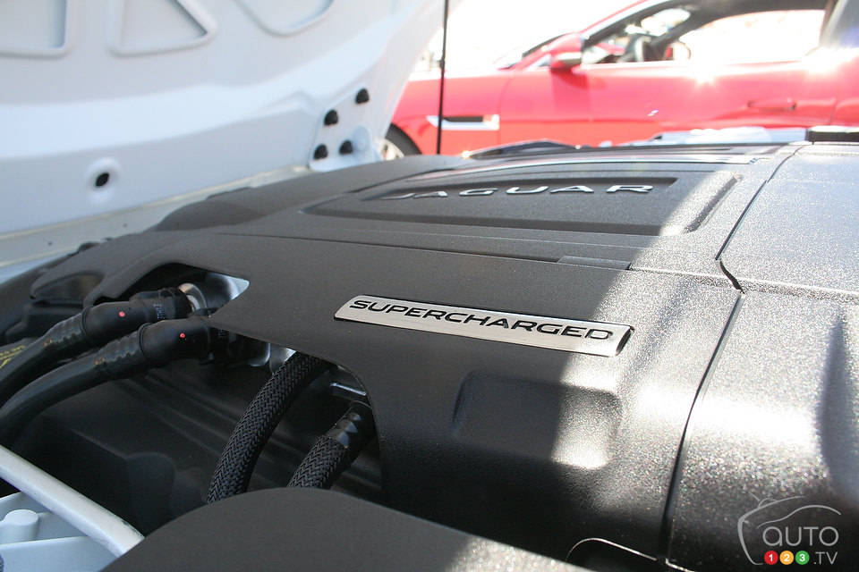 Photo: Miranda Lightstone