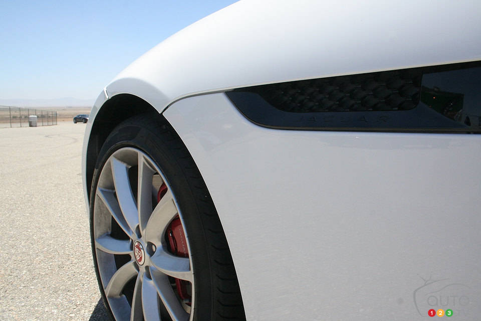 Photo: Miranda Lightstone