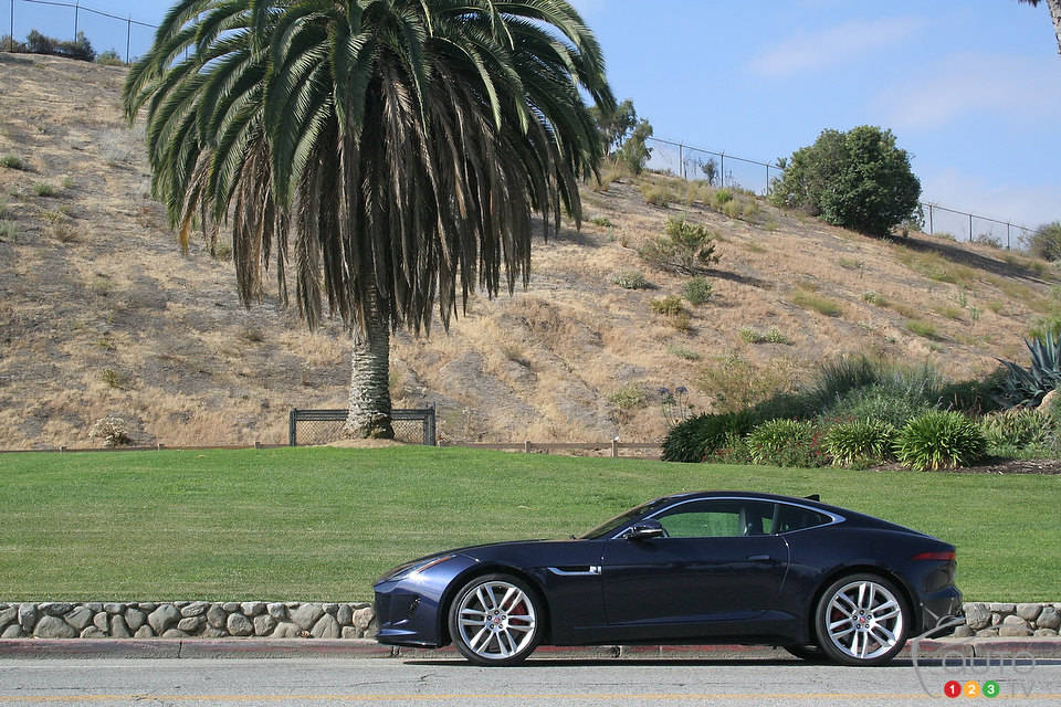 Photo: Miranda Lightstone