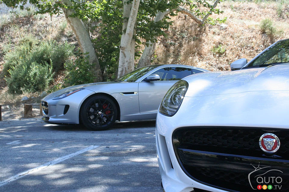 Photo: Miranda Lightstone