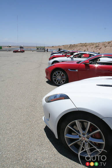 Photo: Miranda Lightstone