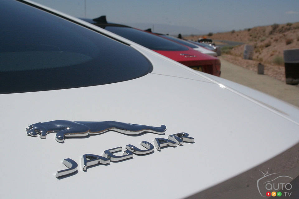 Photo: Miranda Lightstone