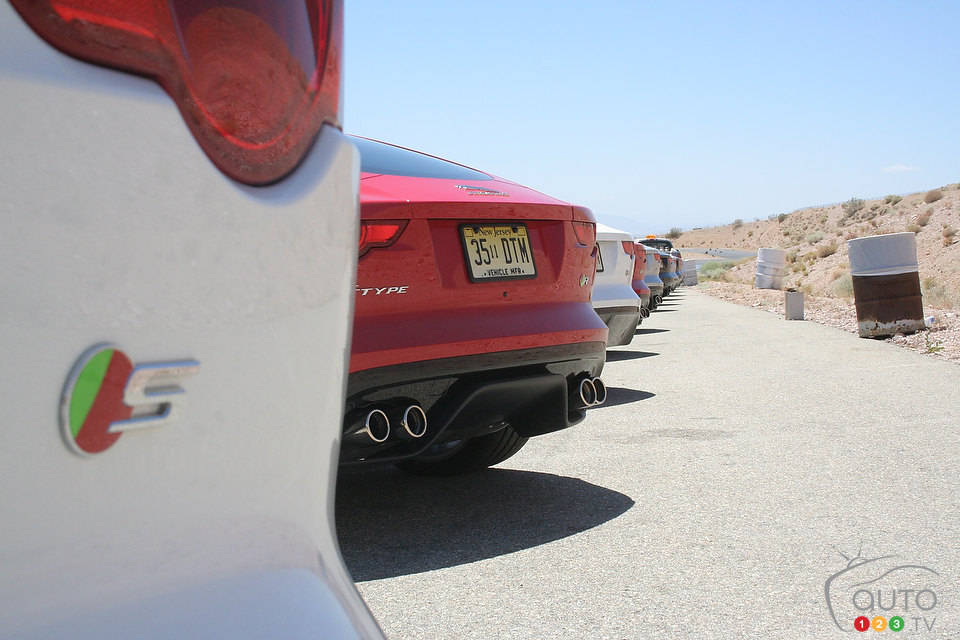 Photo: Miranda Lightstone