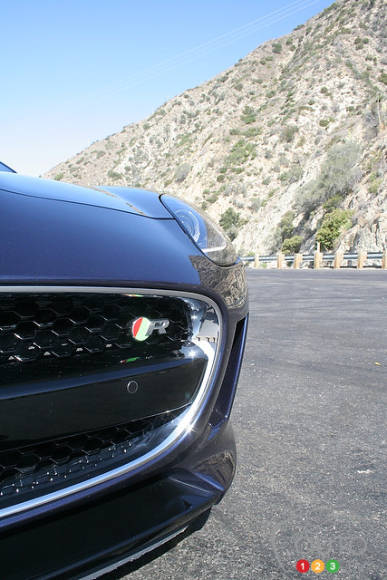 Photo: Miranda Lightstone