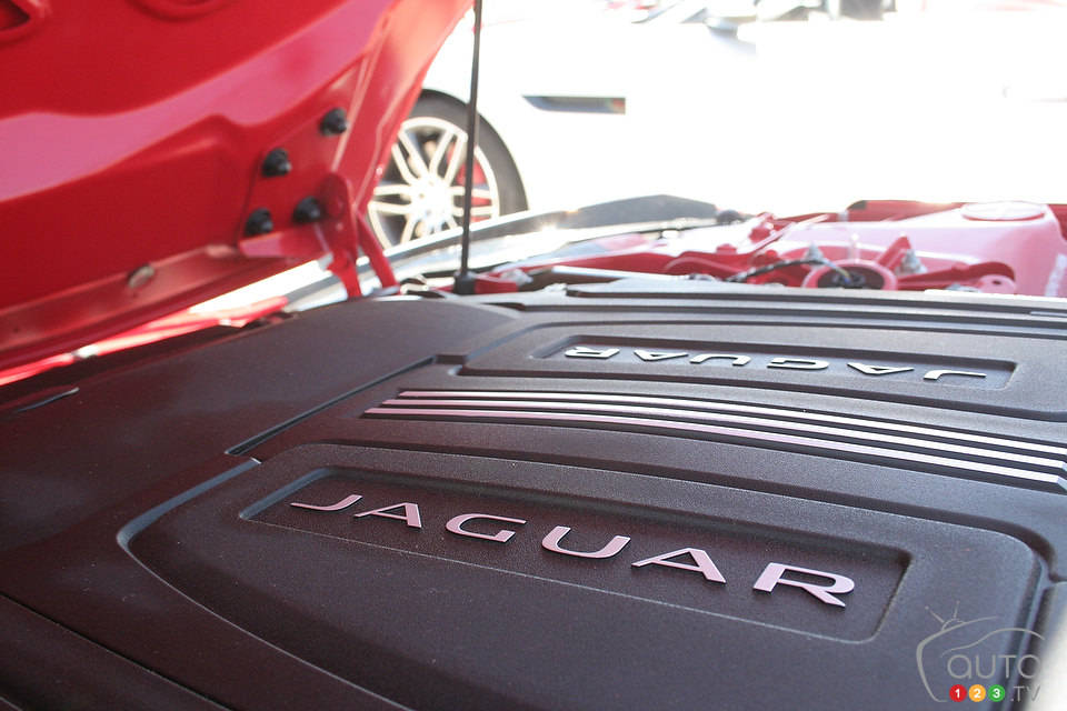 Photo: Miranda Lightstone