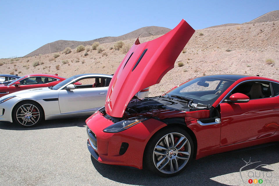 Photo: Miranda Lightstone