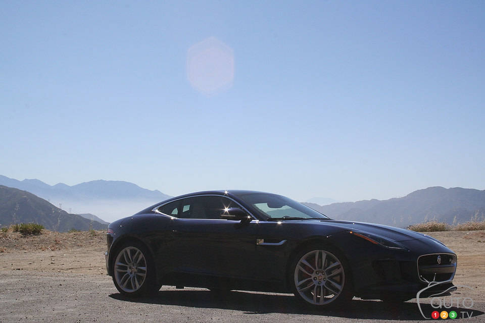 Photo: Miranda Lightstone