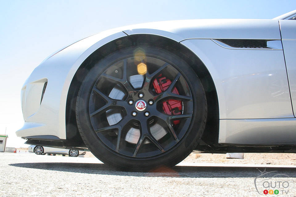 Photo: Miranda Lightstone