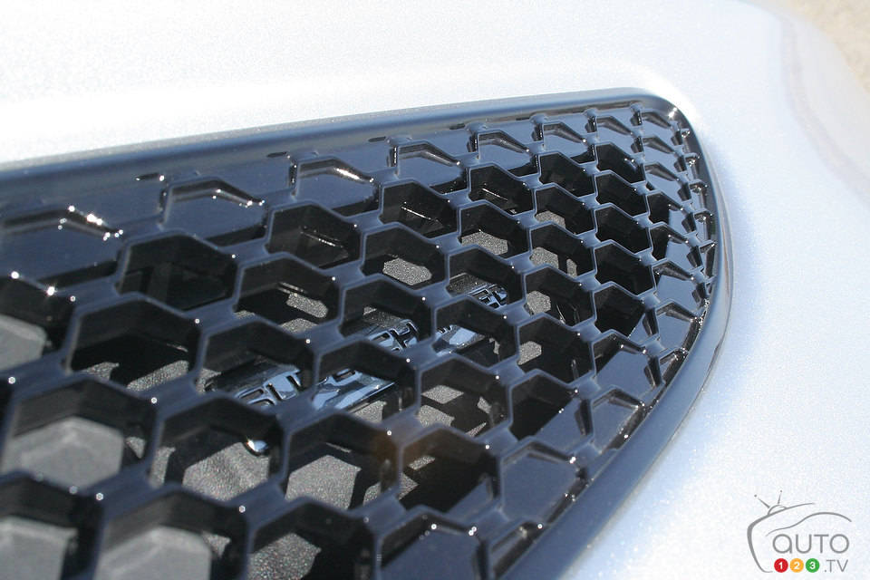 Photo: Miranda Lightstone