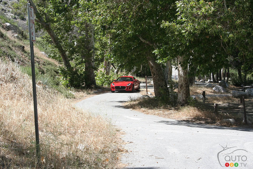 Photo: Miranda Lightstone