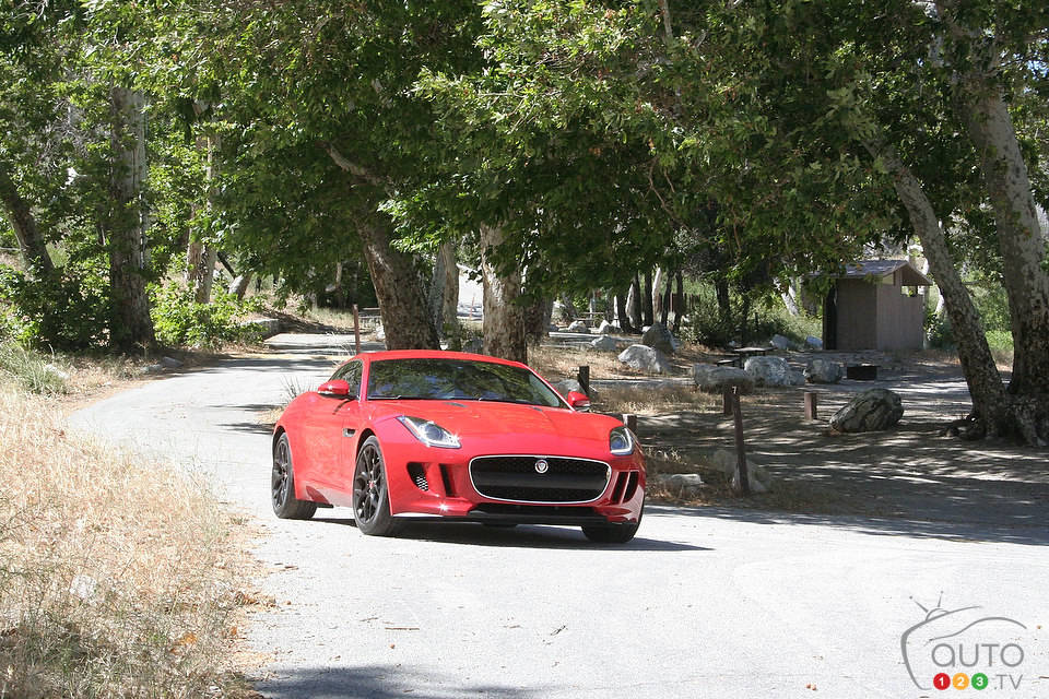 Photo: Miranda Lightstone