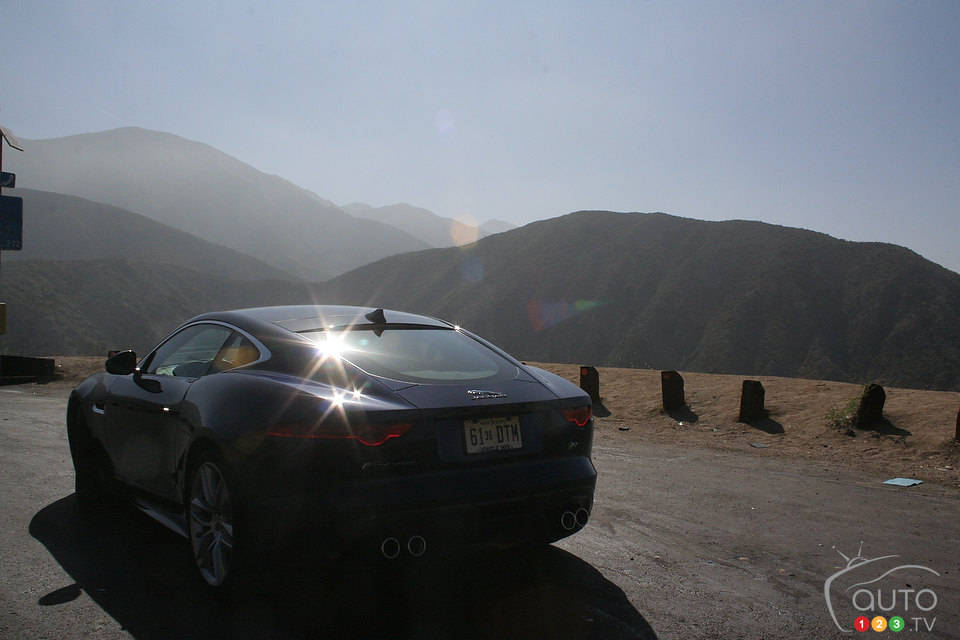 Photo: Miranda Lightstone