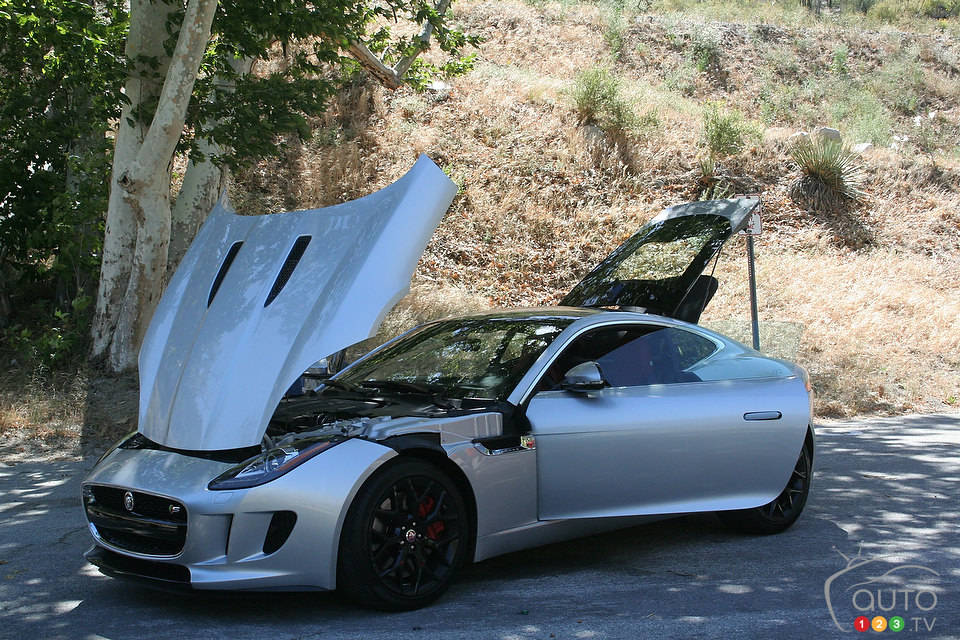 Photo: Miranda Lightstone