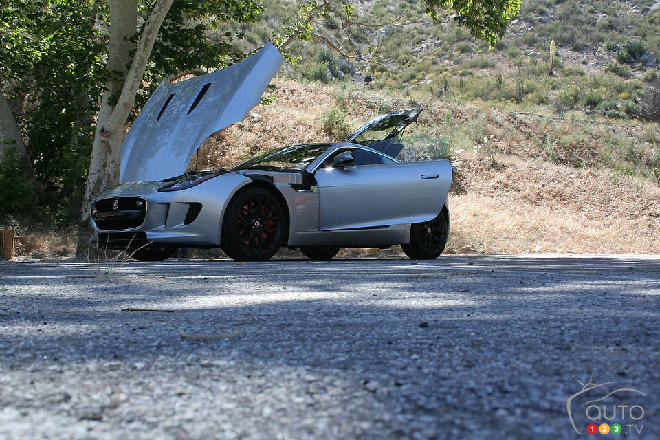 Photo: Miranda Lightstone