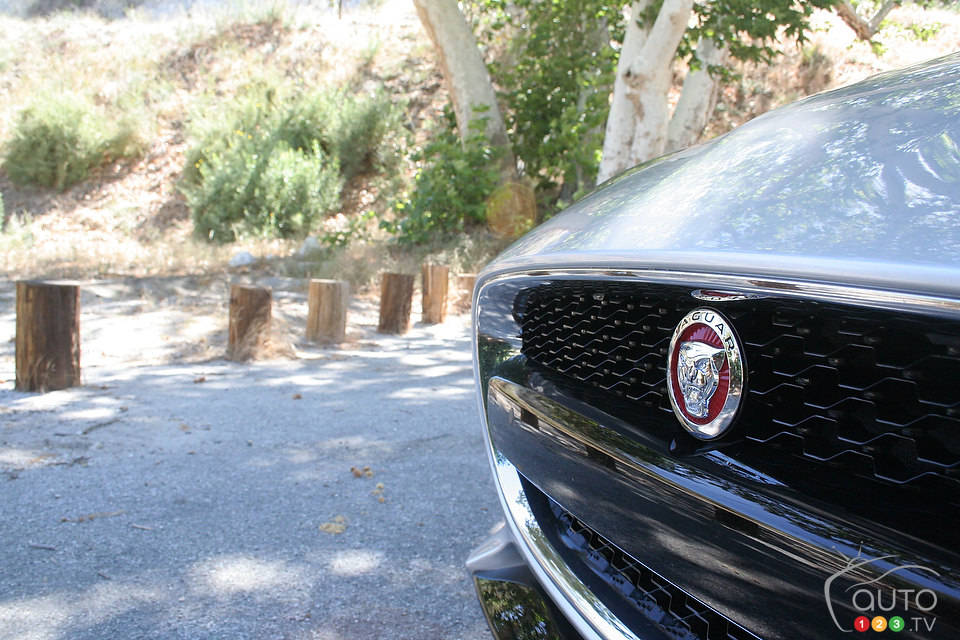 Photo: Miranda Lightstone