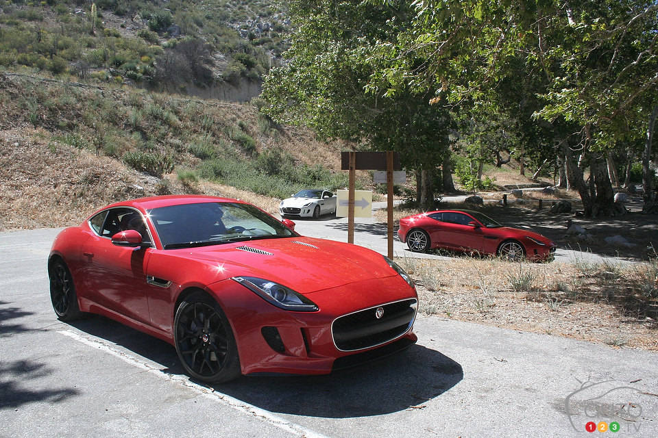 Photo: Miranda Lightstone