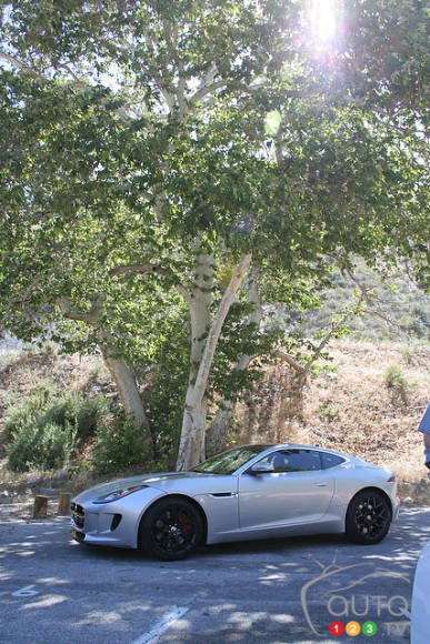 Photo: Miranda Lightstone