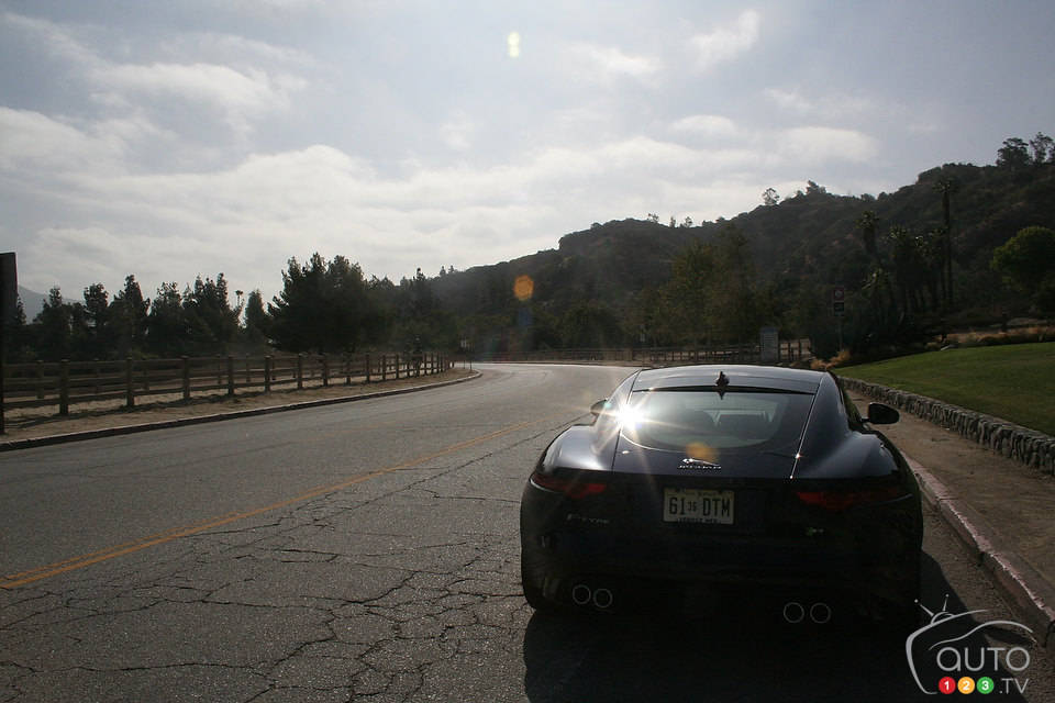 Photo: Miranda Lightstone