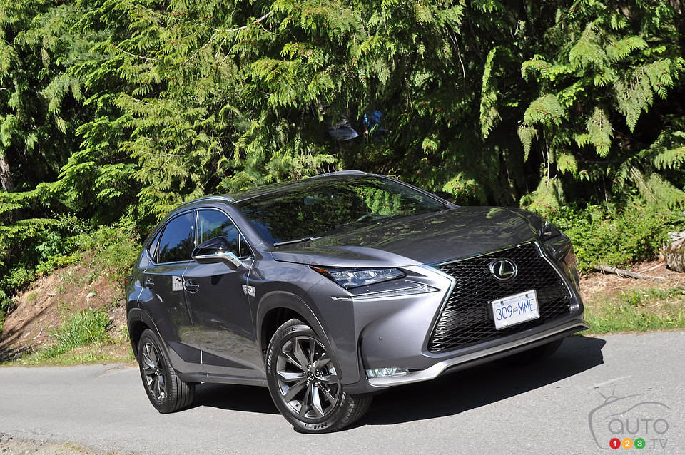 Photo: Mathieu St-Pierre