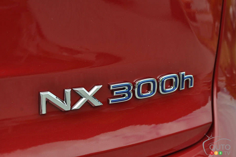 Photo: Mathieu St-Pierre