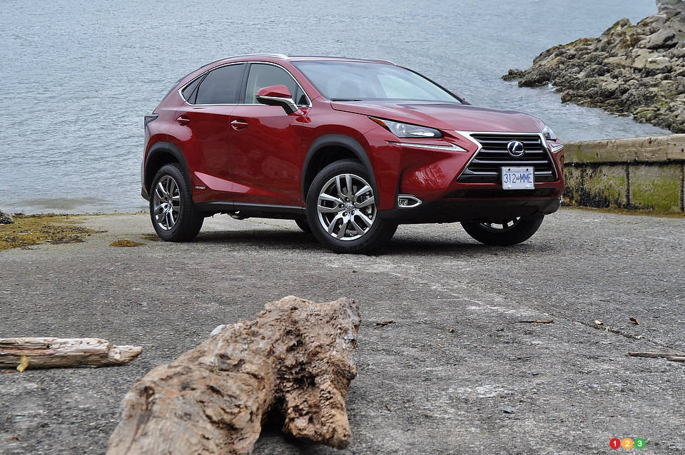 Photo: Mathieu St-Pierre