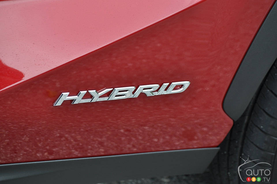 Photo: Mathieu St-Pierre