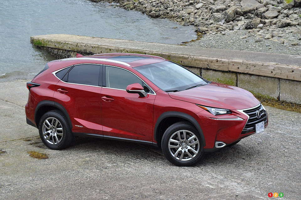 Photo: Mathieu St-Pierre