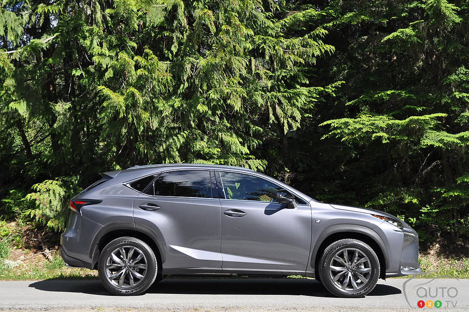 Photo: Mathieu St-Pierre