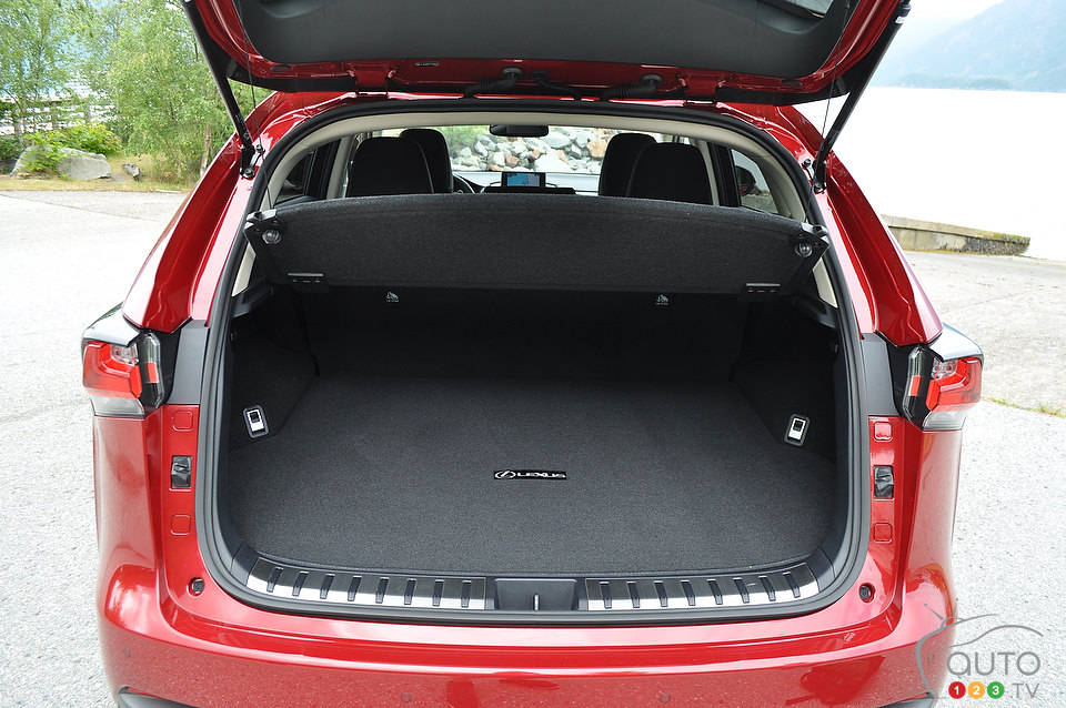 Photo: Mathieu St-Pierre