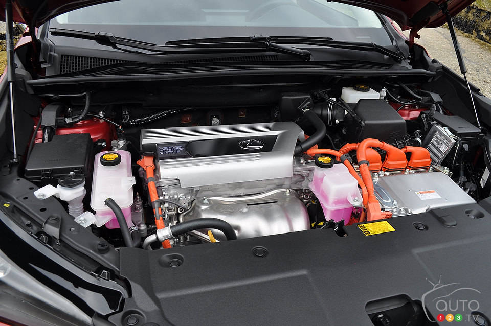 Photo: Mathieu St-Pierre