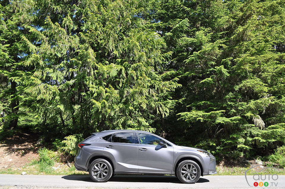 Photo: Mathieu St-Pierre