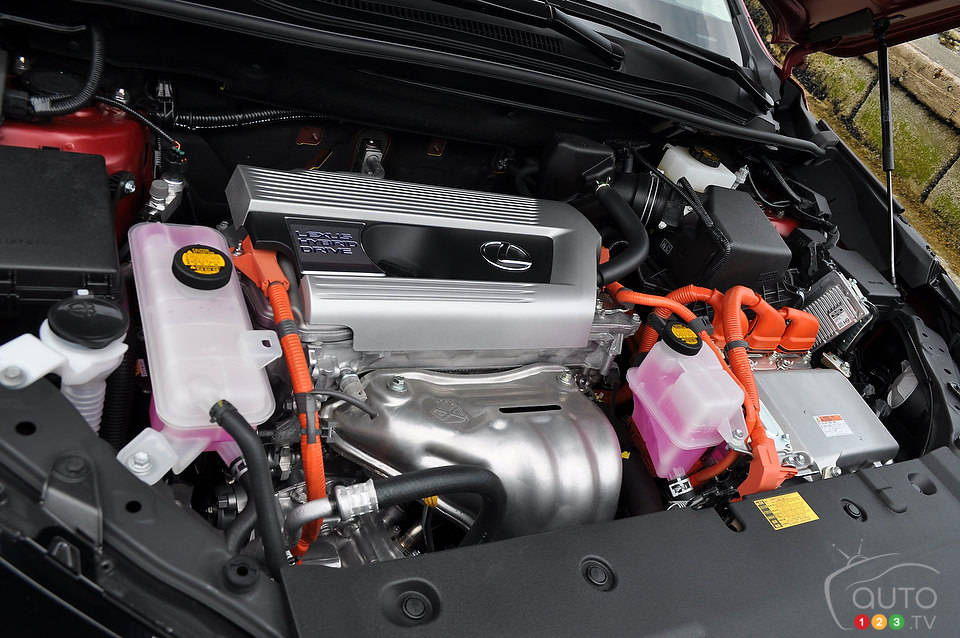 Photo: Mathieu St-Pierre