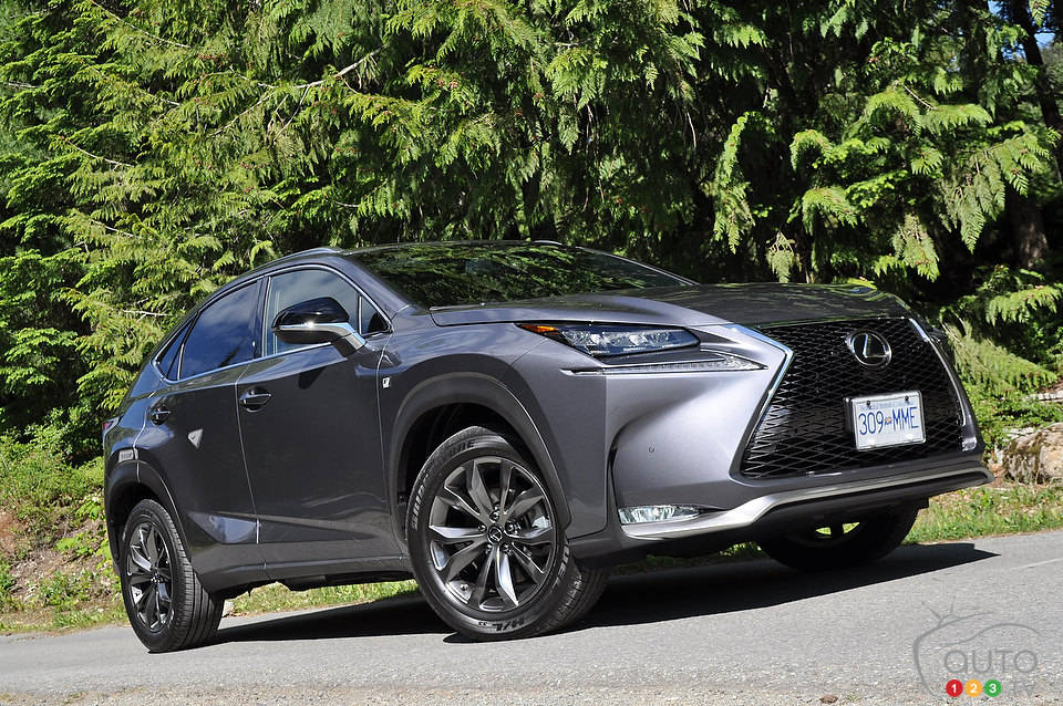 Photo: Mathieu St-Pierre