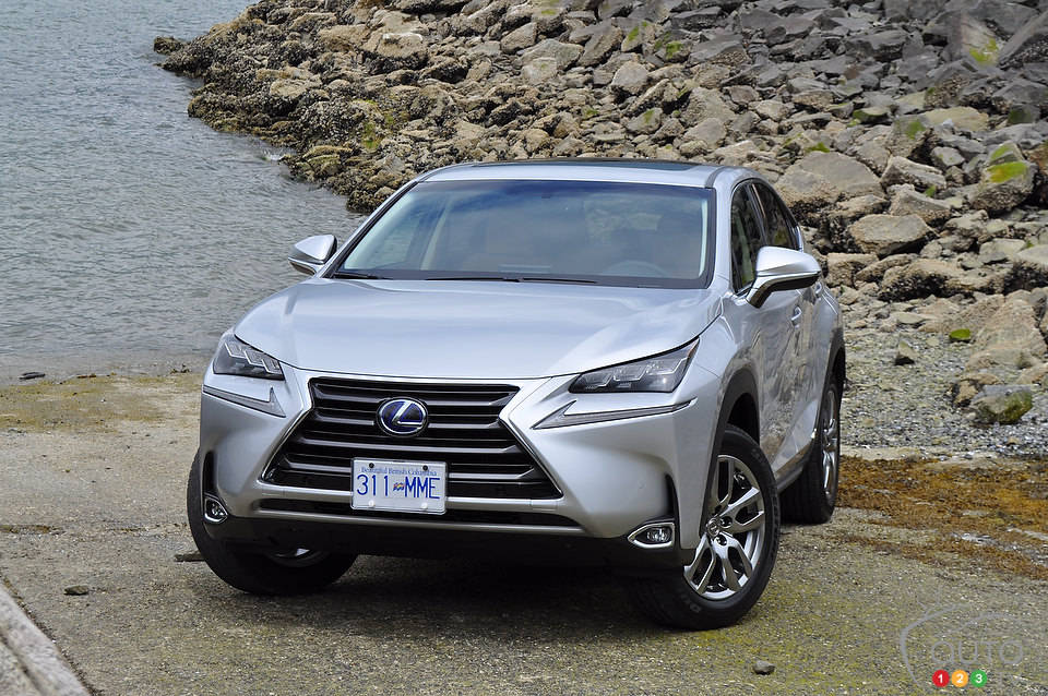 Photo: Mathieu St-Pierre