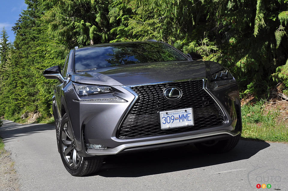 Photo: Mathieu St-Pierre