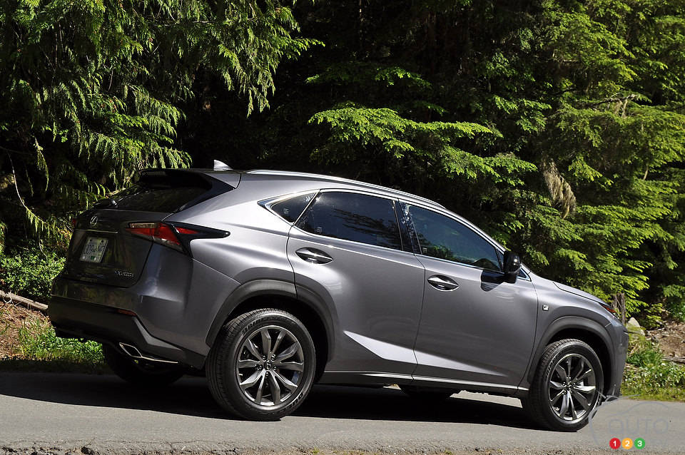 Photo: Mathieu St-Pierre