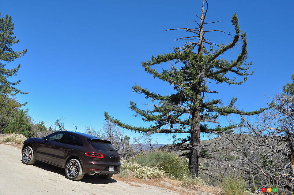 Photo: Mathieu St-Pierre