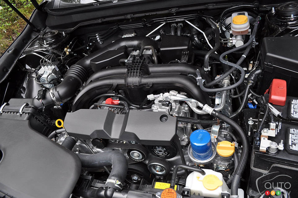 Photo: Mathieu St-Pierre