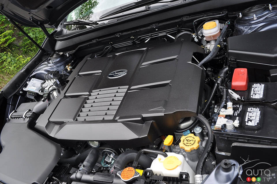 Photo: Mathieu St-Pierre