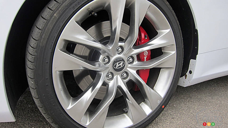 Photo: Lesley Wimbush