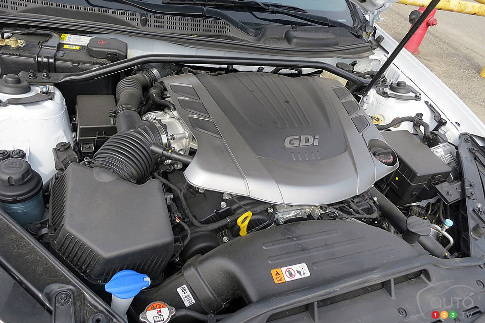 Photo: Lesley Wimbush