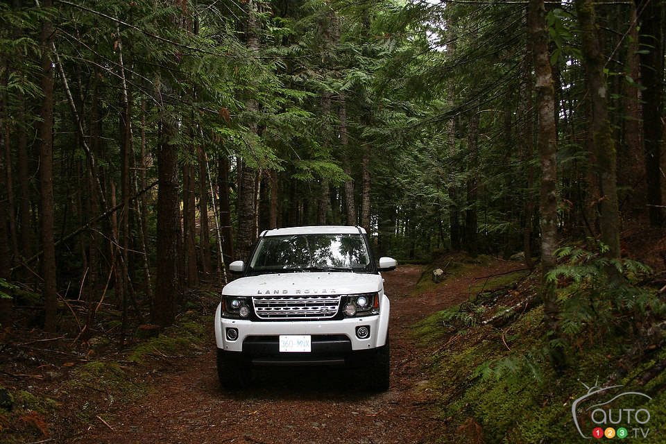 Photo: Miranda Lightstone