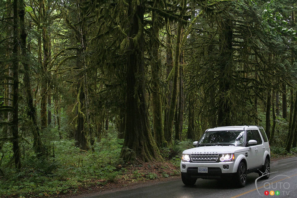 Photo: Miranda Lightstone