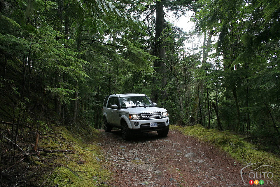 Photo: Miranda Lightstone