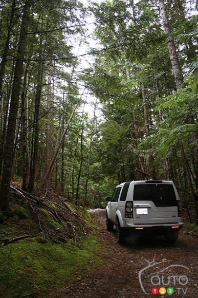 Photo: Miranda Lightstone