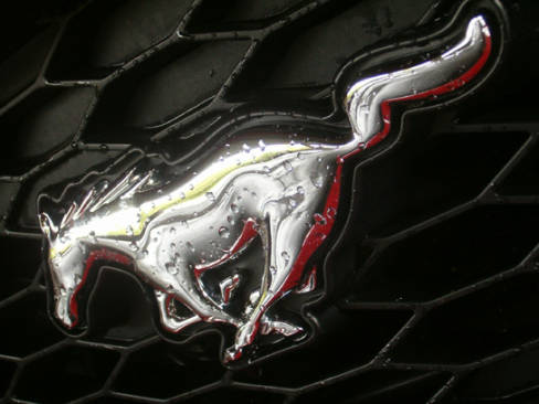 2006 Ford Mustang GT (Photo: John LeBlanc, straight-six.com)