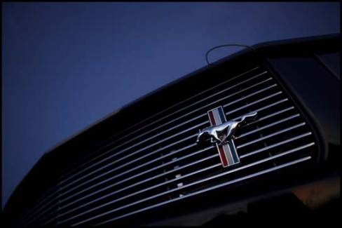 2006 Ford Shelby GT-H (Photo: Ford)