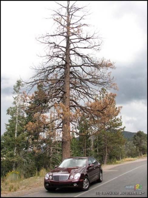 Mercedes-Benz E320 Bluetec 2007 (Photo: Mathieu St-Pierre, Auto123.com)