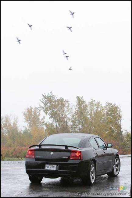 2006 Dodge Charger SRT8 (Photo: Philippe Champoux, Auto123.com)